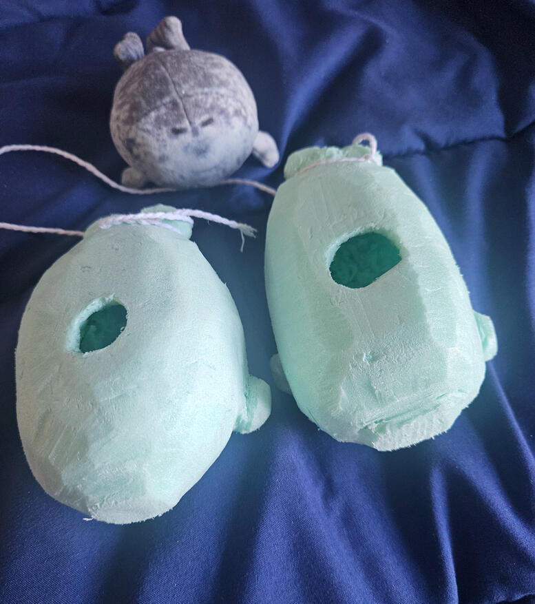 Seals!?